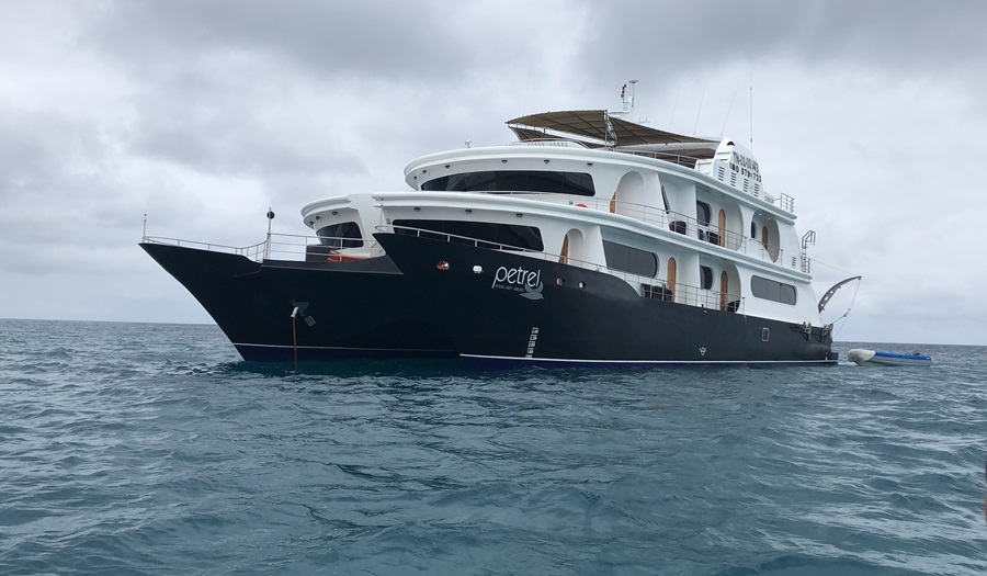 galapagos petrel cruise